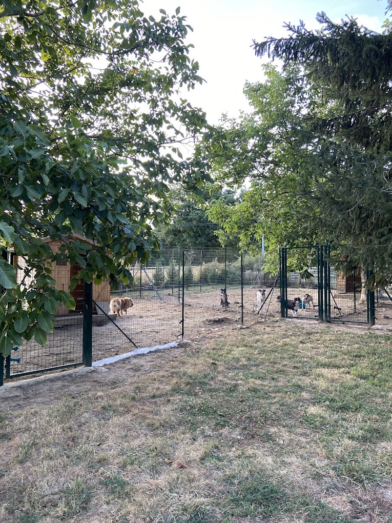 Illustration de la pension canine à Montseveroux